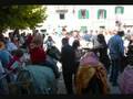videos de I cavalli e gli asini bardati per la processione