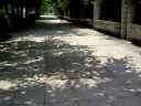 kid skate