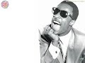 Stevie-wonder-I-m-fr