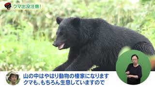 【第10回】クマ出没注意！～人身被害防止対策～