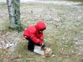 videos de Zander Chopping wood