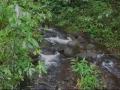Relaxing music and video of a stream in Hawaii.