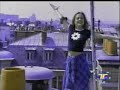 fey   gatos en el balcón 1994