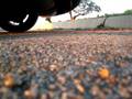 RX-8 revving