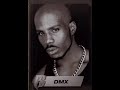 DMX What\