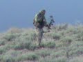 BandJo Mule Deer Hunting in Idaho BandJo Mule Deer Hunting in Idaho