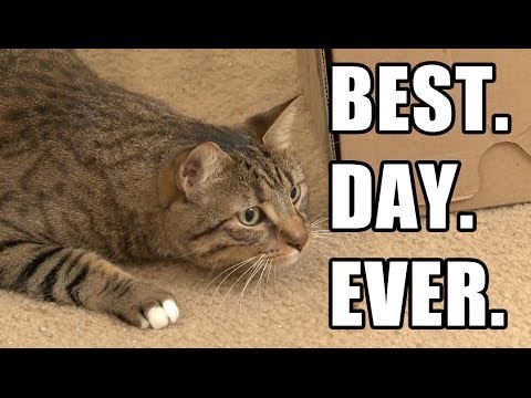 BEST. DAY. EVER. (Episode 5)