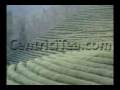 videos de Boseong Green Tea Plantation