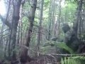 Corner Brook Woodsball Teaser