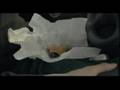 Super Size Me - Extrait