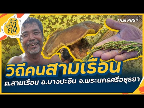 วิถีคนสามเรือน ต.สามเรือน อ.บางปะอิน จ.พระนครศรีอยุธยา