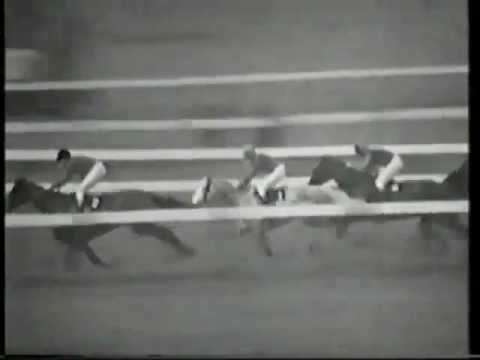 paddy power cheltenham