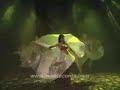 Bellyqueen: The Bellydance Experience