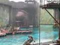 water world 4 usj