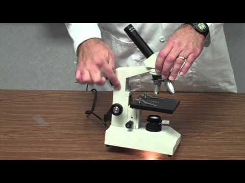 how to use the microscope