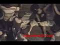 videos de Akil Ammar