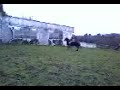 121608165824.3gp