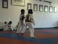 videos de SEBASTIAN FERNANDEZ TAE KWON DO AVENTURA