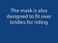 Guardian Mask Video