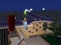when-gnomes-attackthe-sims-2.html