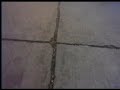 parkour-settat .. video 1