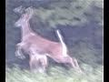 LARGE-BUCK-DEER-MAKE