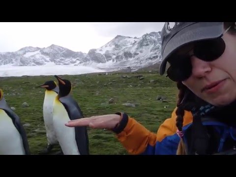 Antarctique Antarctique
