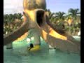 swim5