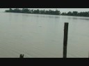 Lake Apopka - Nature 08