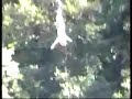 Saut a l'elastique Ponsonas (chat noir) Saut a l'elastique Ponsonas (chat noir)
