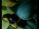 Payaso de Rodeo �_�