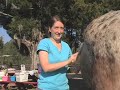 Mill Creek Farm for Retired Horses 佛罗里达退休老马农场