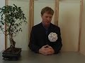prendre-des-video-sur-youtubedailymotiontout-simplement.html
