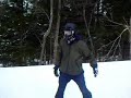 Legistically Steez 2008 teaser