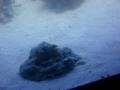 videos de My nano-reef in the making!