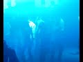 liquid people @ essential