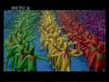 Beijing Paralympic Games opening ceremony part 1 北京2008残奥会开幕式