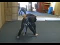 Trevor  Shane MMA