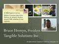 Bruce Hrenyo, President, Tangible Solutions, Inc.