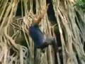 videos de Lost 5 temporada promo oficial 9 sub español