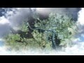 Slovakia 2011 (new video HD)