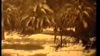 שלג באשדות יעקב - פברואר 1950(1 סרטונים)