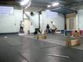 Jersey's Flyball Boxwork (Part Three)