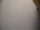 this is a video that i made when i was bored.  the rubber chicken is named bob.  he will be making an appearance in all of the videos that i make from now on.