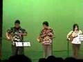 Begin - 三線の花 - Sanshin No Hana [Haisai Uchina]