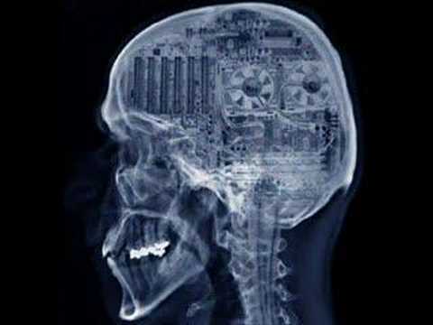 Terence  McKenna- culture is our ...