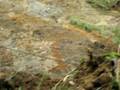 Landslide on Cerro del Oro, Manizales, 16 Nov '08