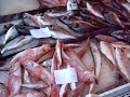 CATANIA MERCATO PESCHERIA CATANIA MERCATO PESCHERIA