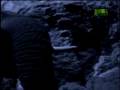 videos de Fooled by Nature - Elephant Salt Miners