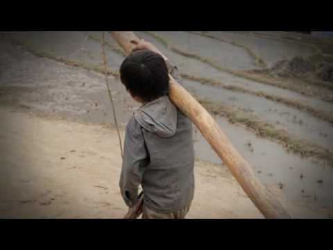 See video See video